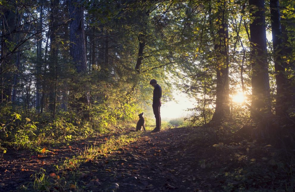 Mann mit seinem Hund im Wald